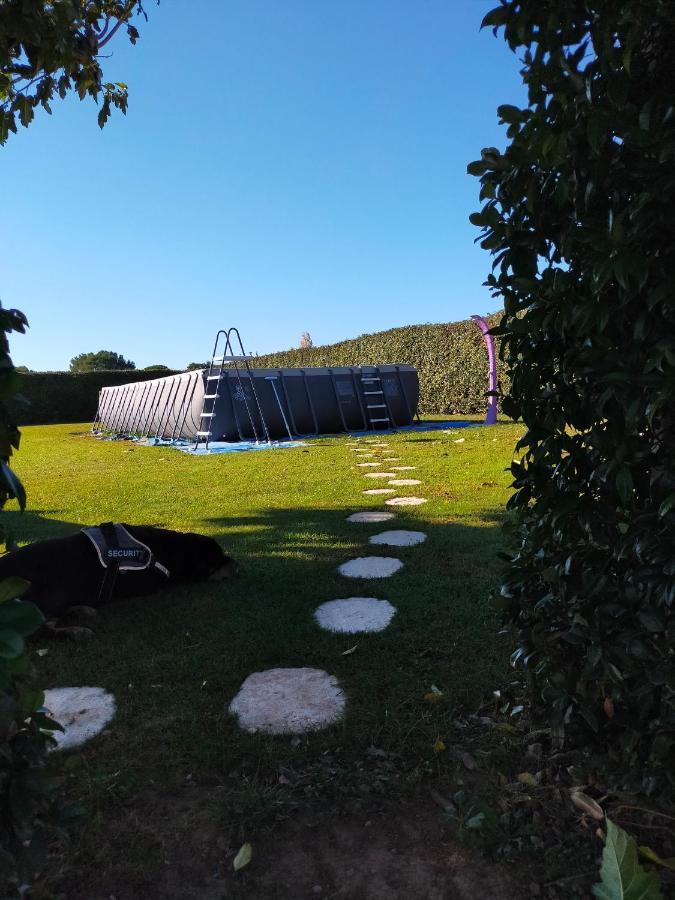 Logement Atypique Arles Exteriör bild